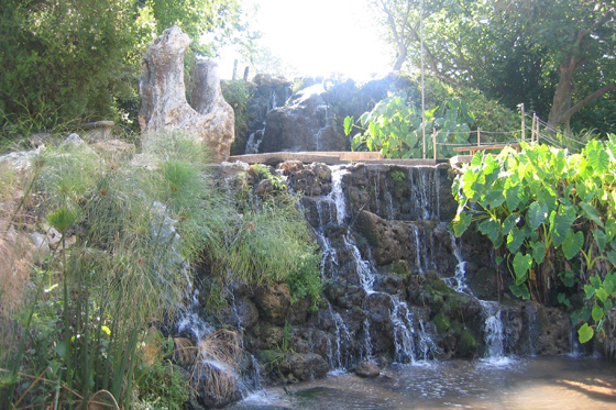 Sukkot program 2026